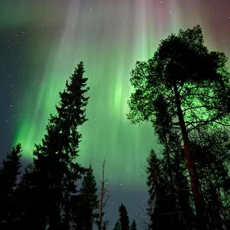 Joulutaehti, A Christmas Family For 9 Villa Rovaniemi