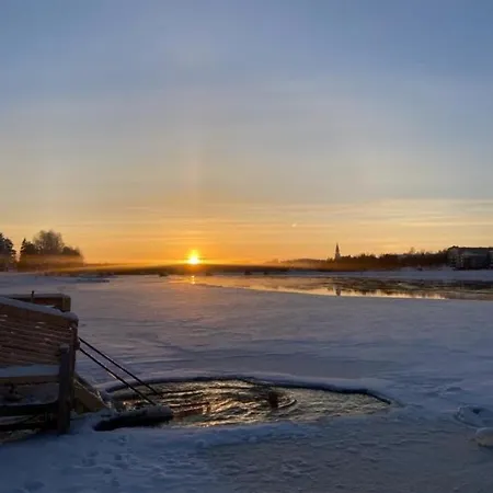 Joulutaehti, A Christmas Family For 9 *