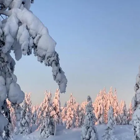 Joulutaehti, A Christmas Family For 9 Rovaniemi