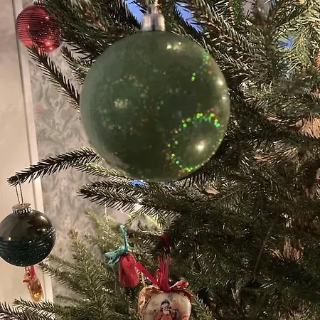 Joulutaehti, A Christmas Family For 9 Villa Rovaniemi