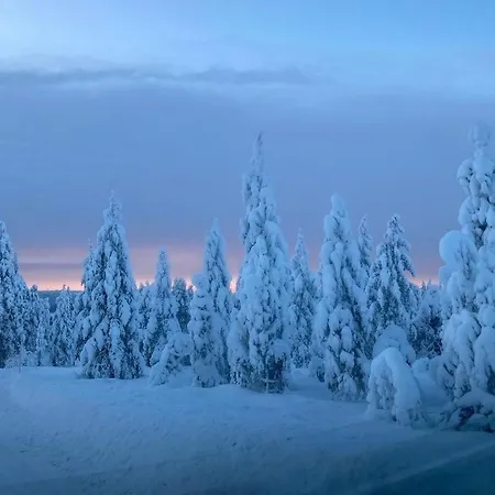 Joulutaehti, A Christmas Family For 9 Villa Rovaniemi
