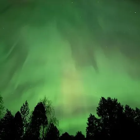 Joulutaehti, A Christmas Family For 9 *