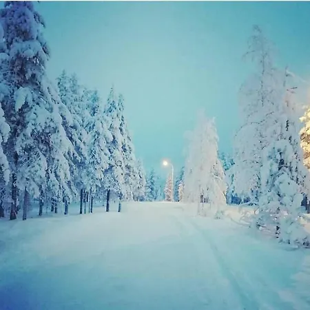 Joulutaehti, A Christmas Family For 9 Rovaniemi