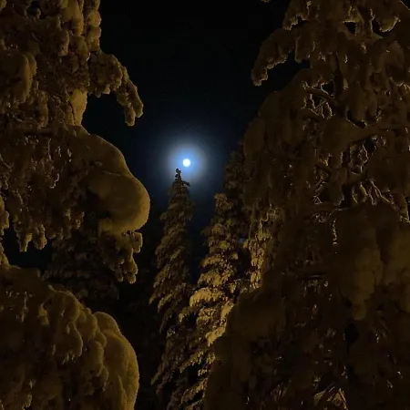 Joulutaehti, A Christmas Family For 9 *