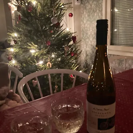 Joulutaehti, A Christmas Family For 9 Villa