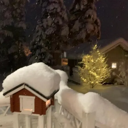 Joulutaehti, A Christmas Family For 9 罗瓦涅米