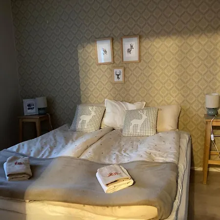 Joulutaehti, A Christmas Family For 9 * Rovaniemi