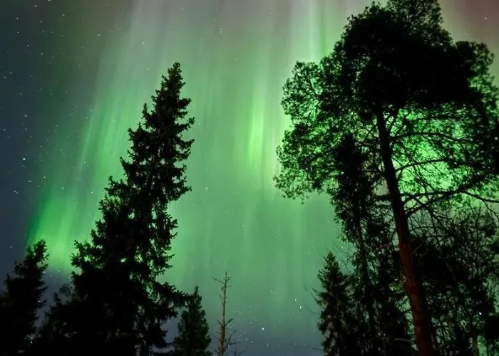 Joulutaehti, A Christmas Family For 9 וילה רובניימי