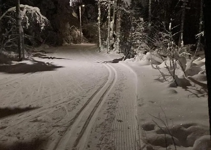 Joulutaehti, A Christmas Family For 9 * Rovaniemi