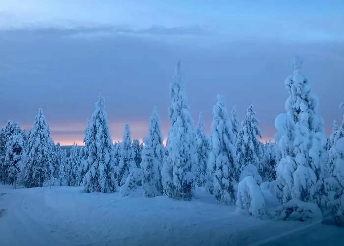 Joulutaehti, A Christmas Family For 9 Villa Rovaniemi