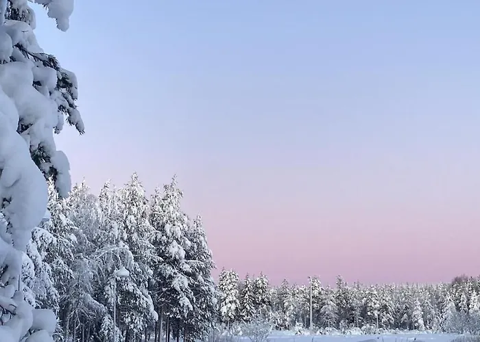 Joulutaehti, A Christmas Family For 9 וילה