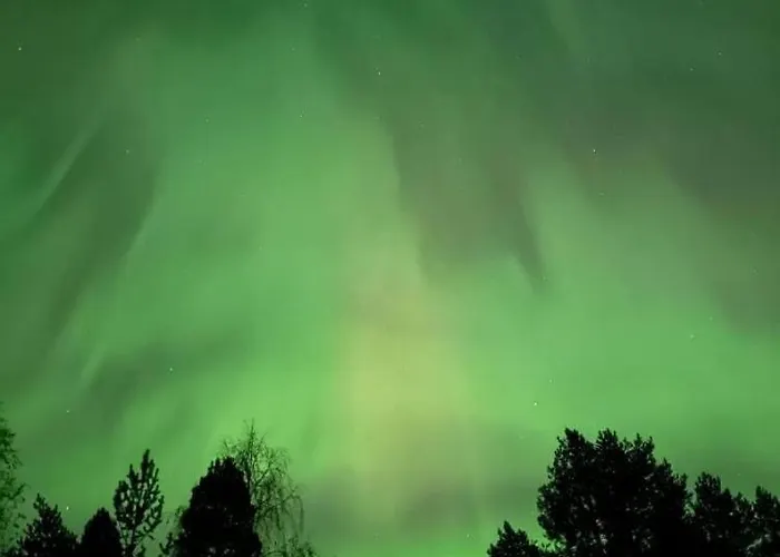 Joulutaehti, A Christmas Family For 9 *