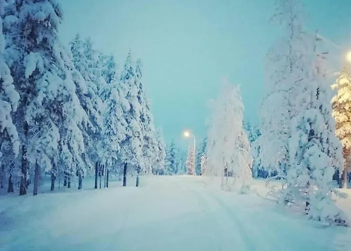 Joulutaehti, A Christmas Family For 9 רובניימי