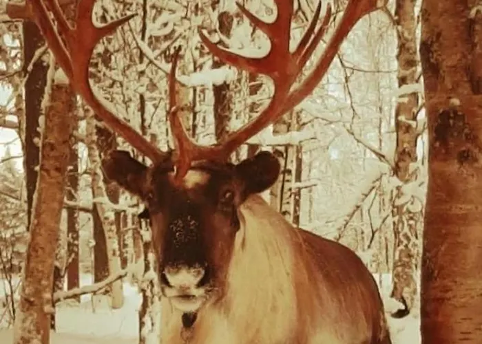 וילה Joulutaehti, A Christmas Family For 9 רובניימי