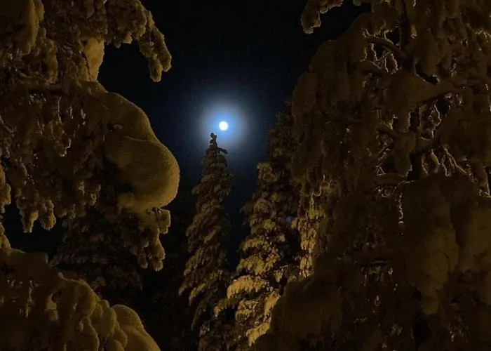 Joulutaehti, A Christmas Family For 9 *